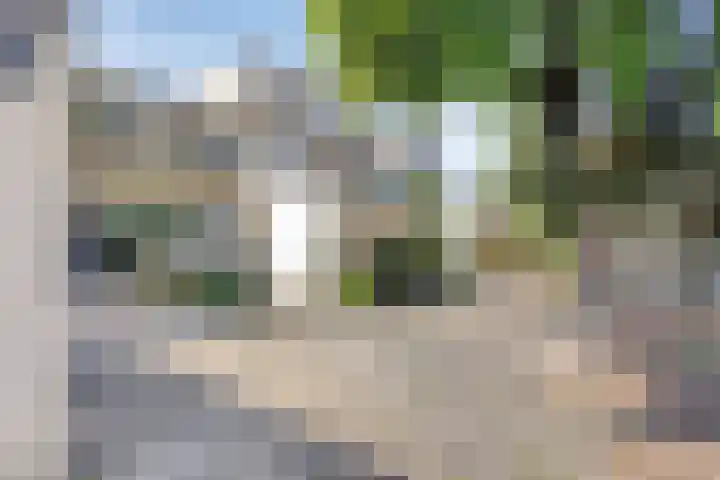 Baelschot 12 Eindhoven thumbnail 5