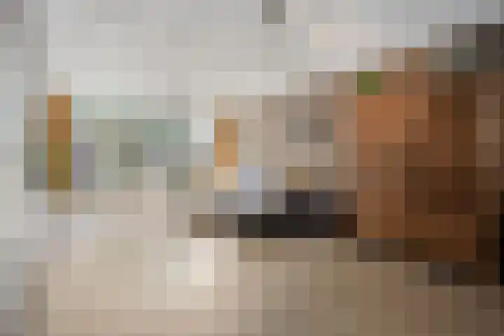 Baelschot 12 Eindhoven thumbnail 9