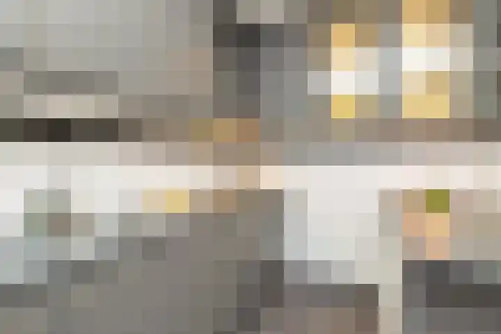 Baelschot 4 Eindhoven thumbnail 18