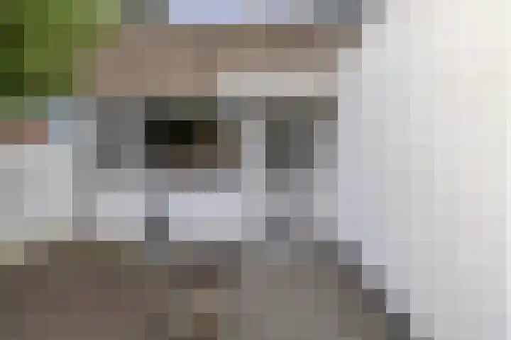 Baelschot 4 Eindhoven thumbnail 4