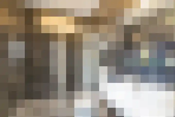 Baelschot 4 Eindhoven thumbnail 41