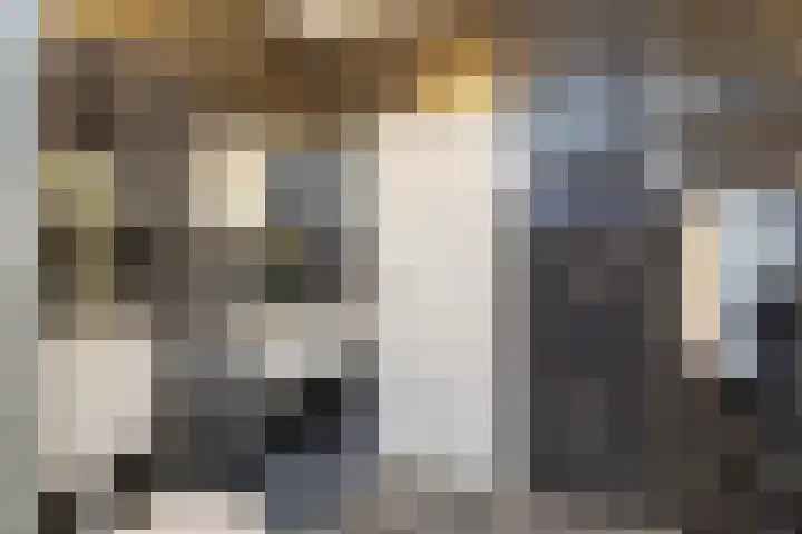 Baelschot 4 Eindhoven thumbnail 42