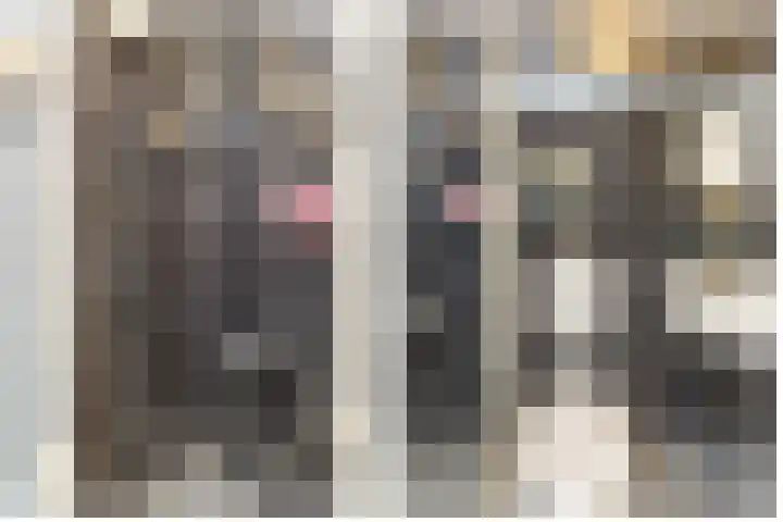 Baelschot 4 Eindhoven thumbnail 43
