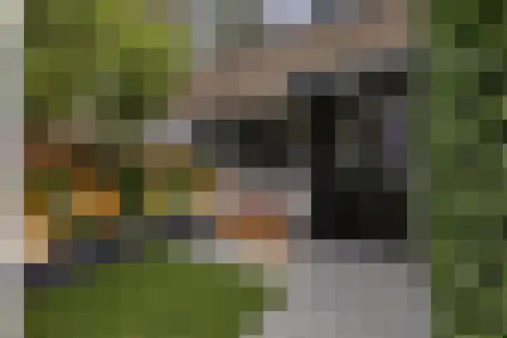 Baelschot 4 Eindhoven thumbnail 47