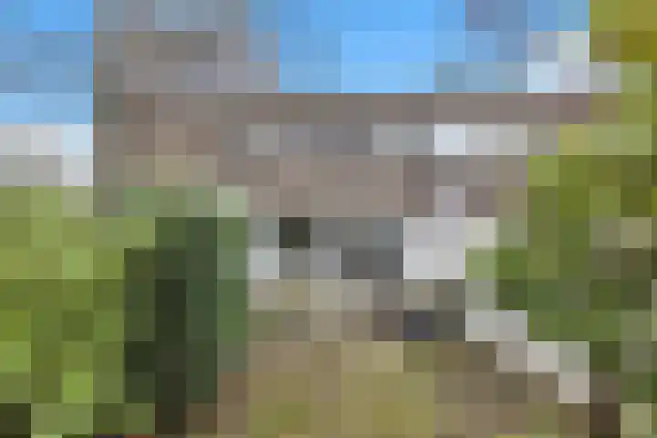 Baelschot 4 Eindhoven thumbnail 52