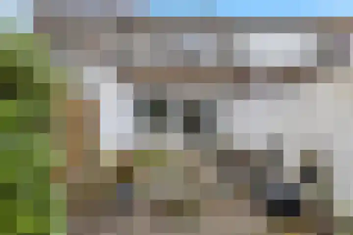 Baelschot 4 Eindhoven thumbnail 53