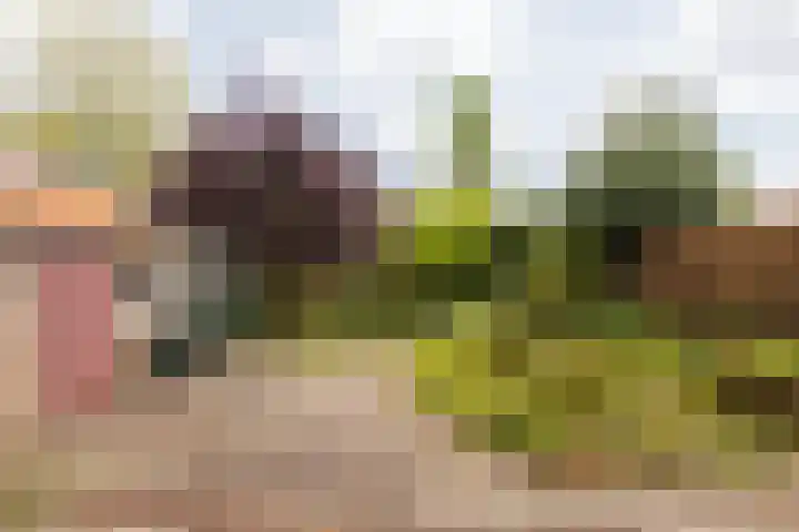 Baenjenstraat 10 Sittard thumbnail 20