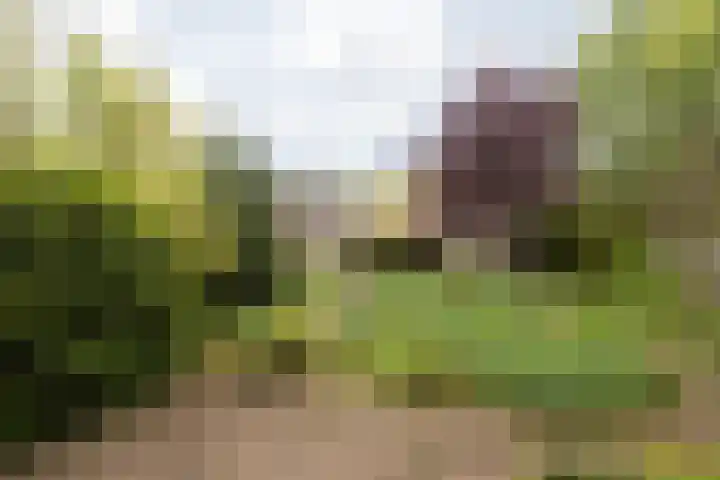 Baenjenstraat 10 Sittard thumbnail 22