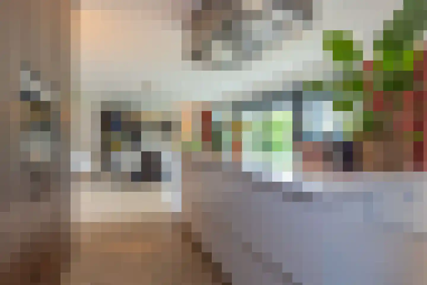 Baenjenstraat 16 A Sittard thumbnail 23