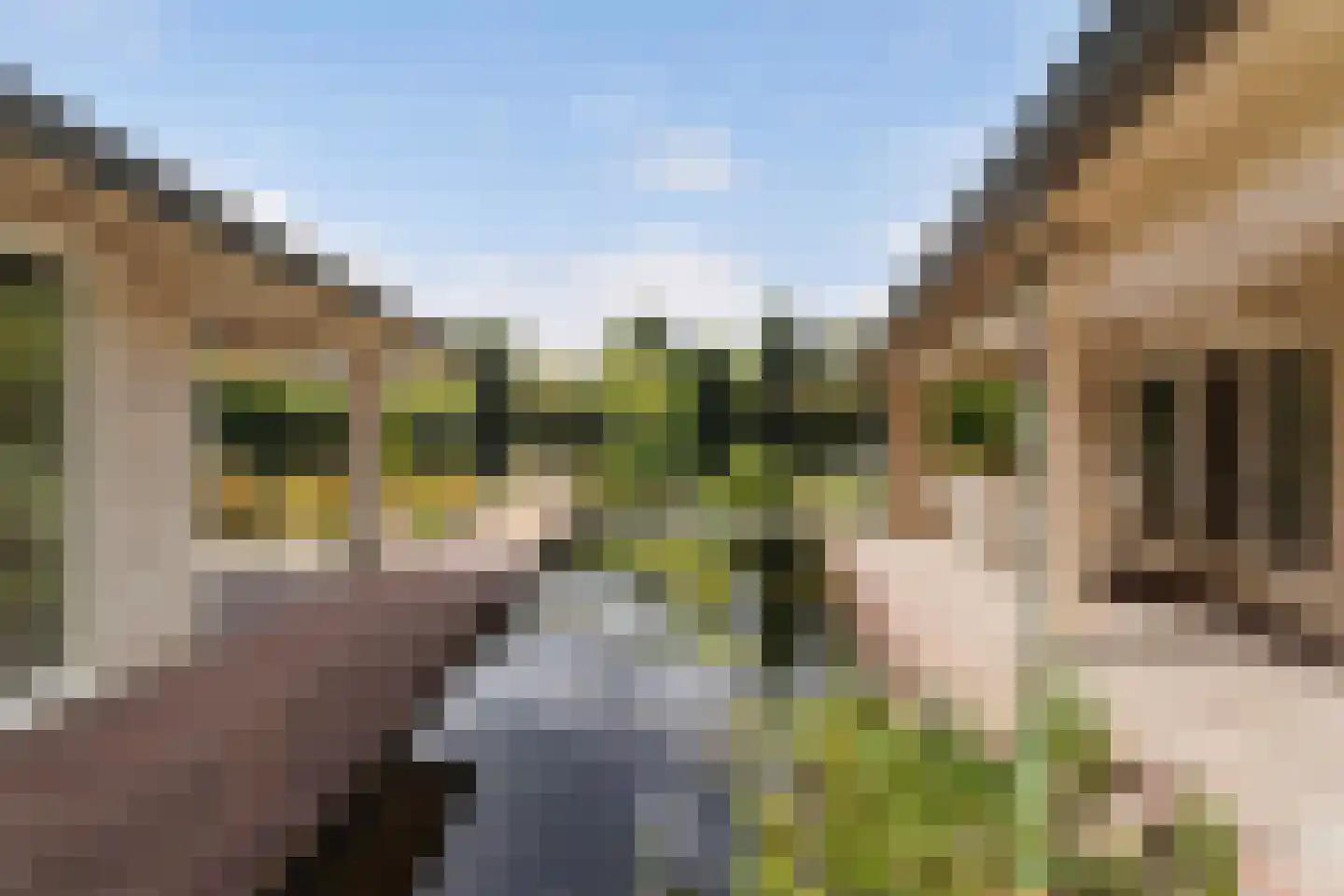 Baerdijk 134 Oisterwijk thumbnail 44