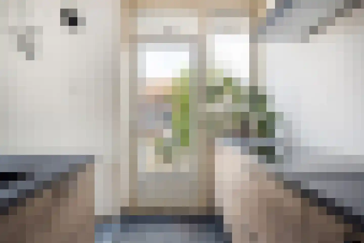 Baerkenstraat 32 Doesburg thumbnail 17