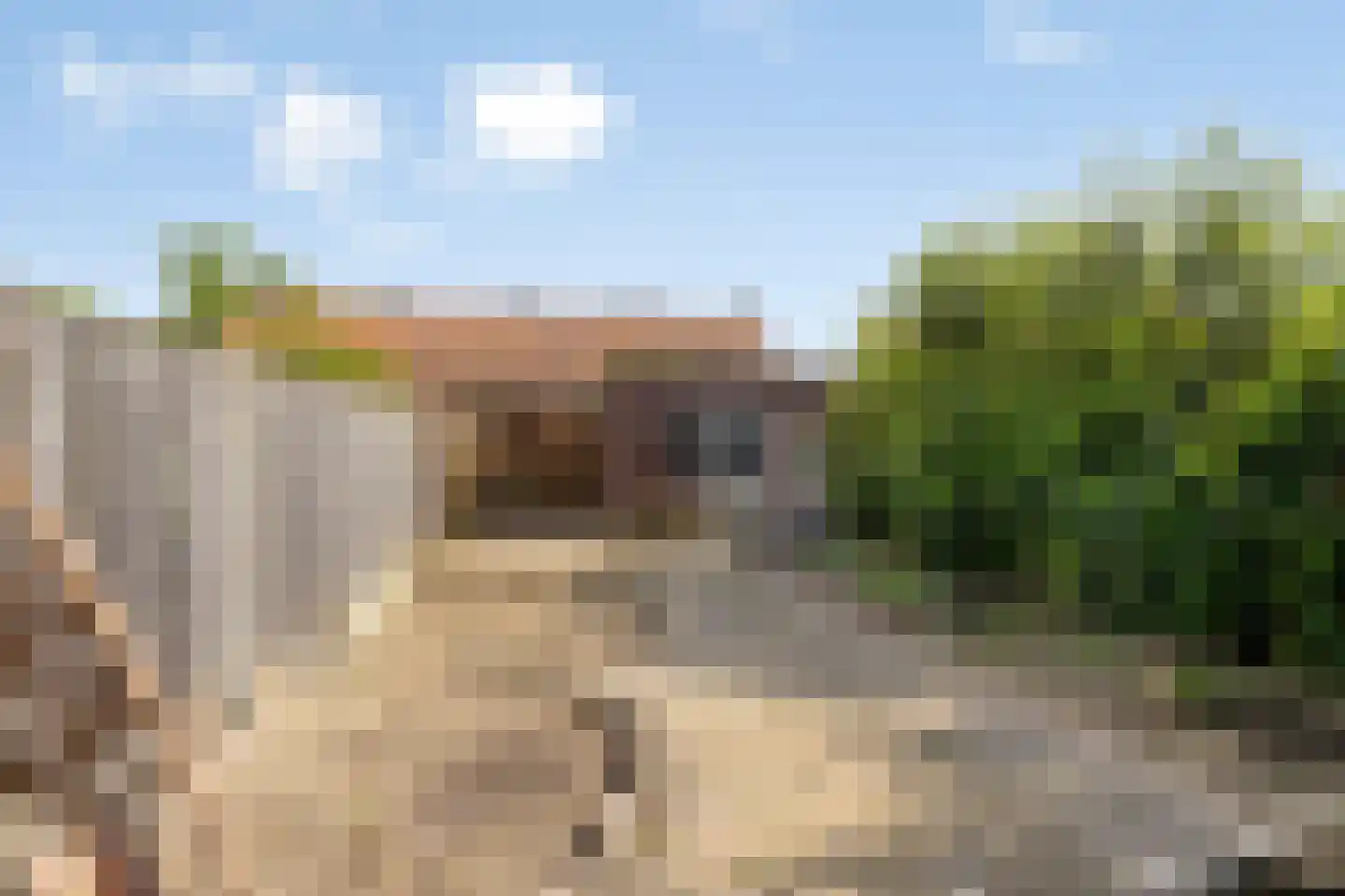 Baerkenstraat 32 Doesburg thumbnail 21