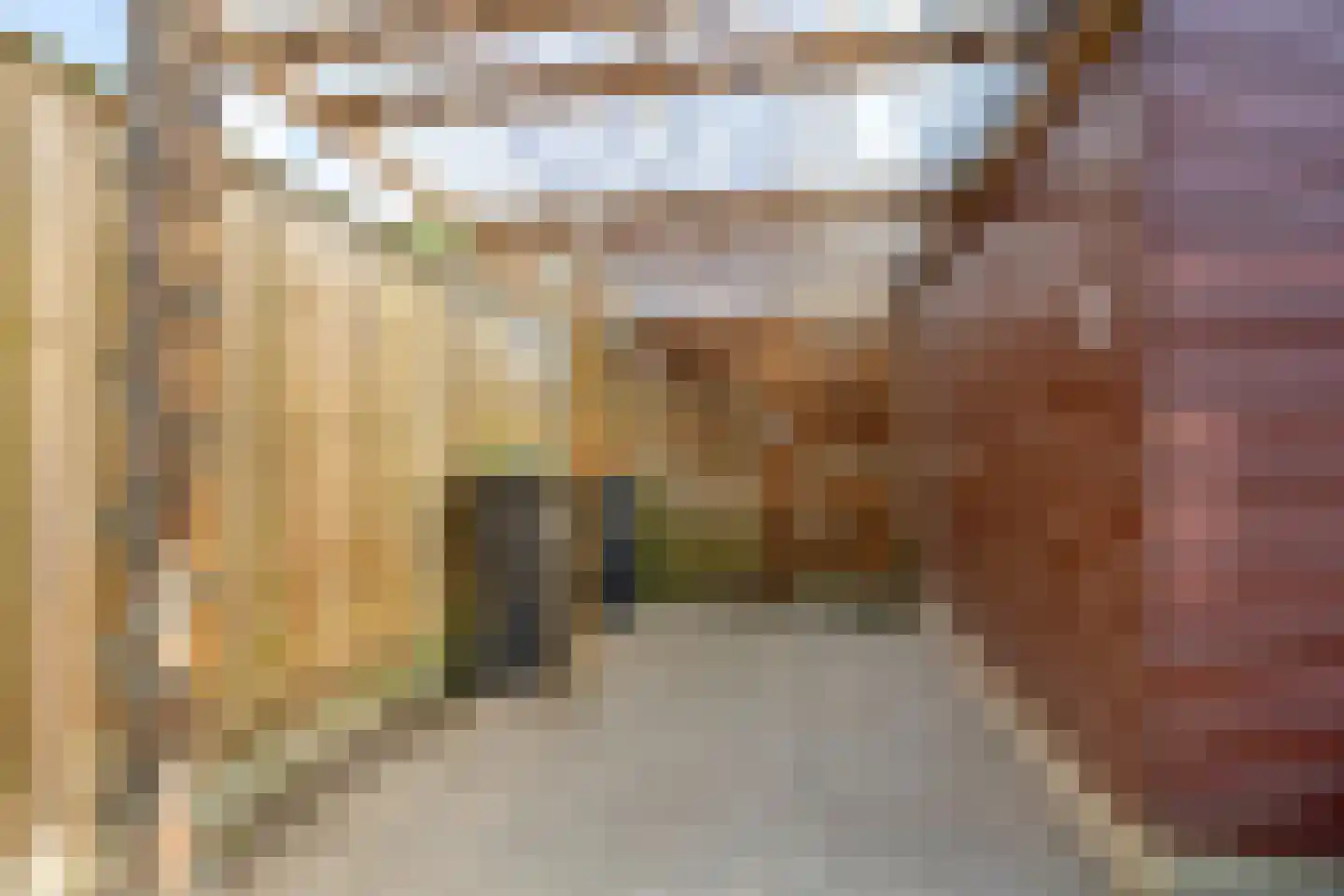 Baerkenstraat 32 Doesburg thumbnail 22
