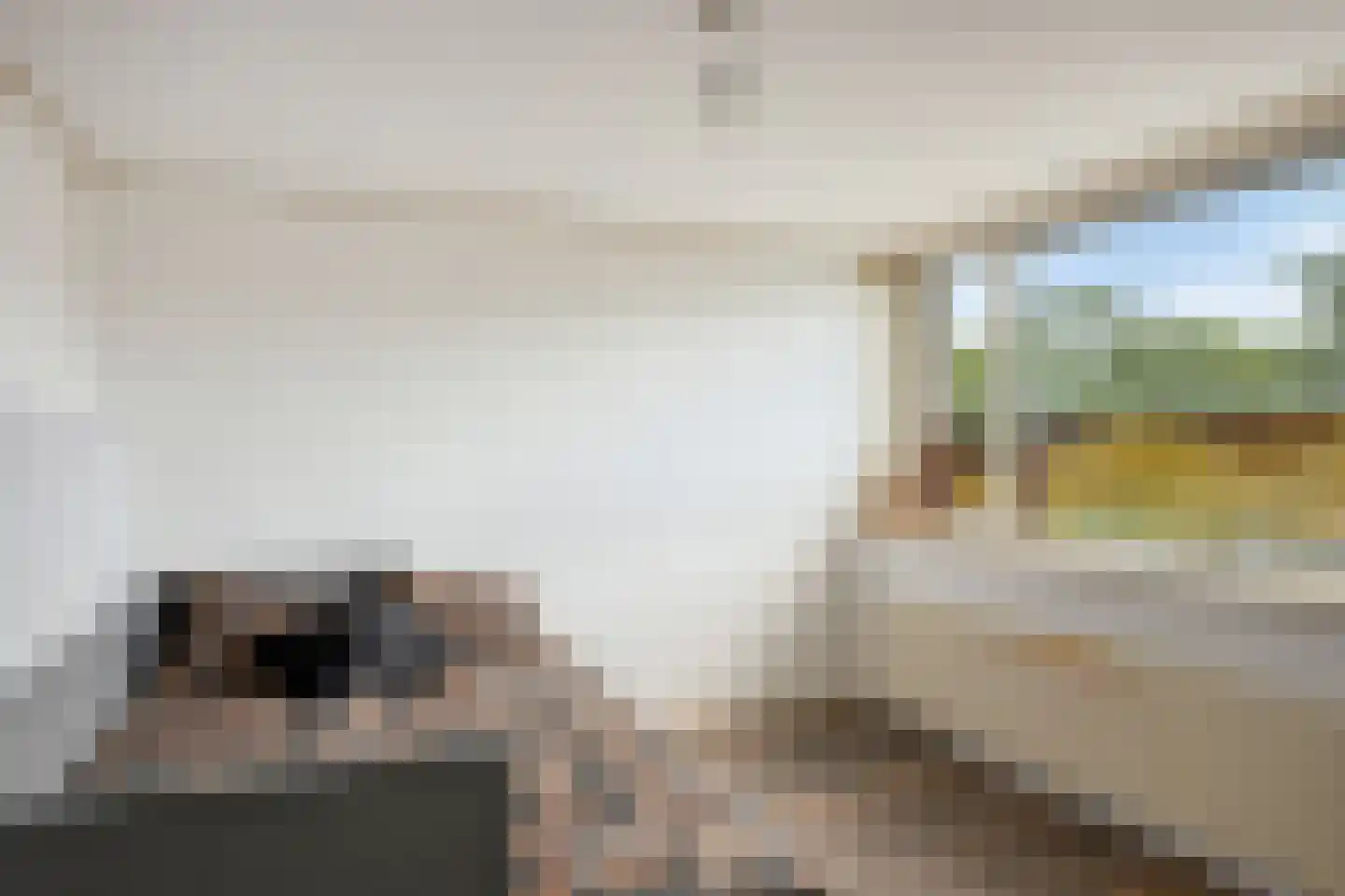 Baerkenstraat 32 Doesburg thumbnail 28