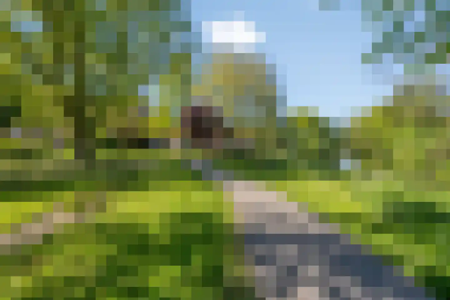 Baerkenstraat 32 Doesburg thumbnail 43