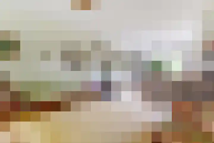 Baerselmansweg 2 B Diepenveen thumbnail 10