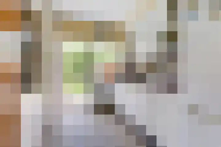 Baerselmansweg 2 B Diepenveen thumbnail 11
