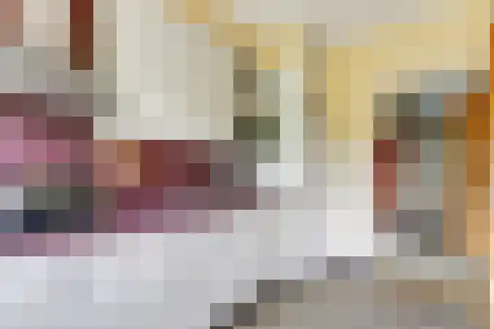 Baerselmansweg 2 B Diepenveen thumbnail 13