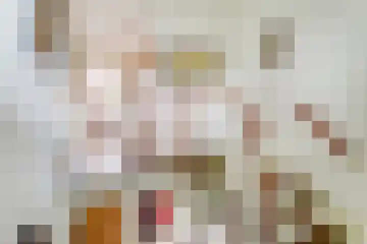 Baerselmansweg 2 B Diepenveen thumbnail 15