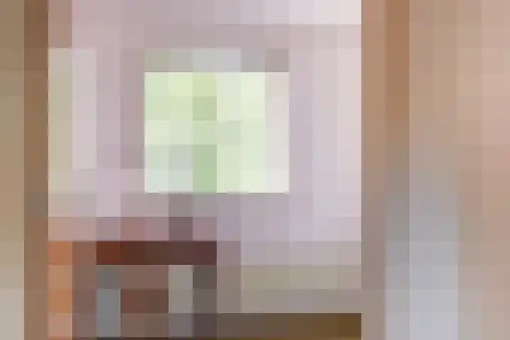 Baerselmansweg 2 B Diepenveen thumbnail 17