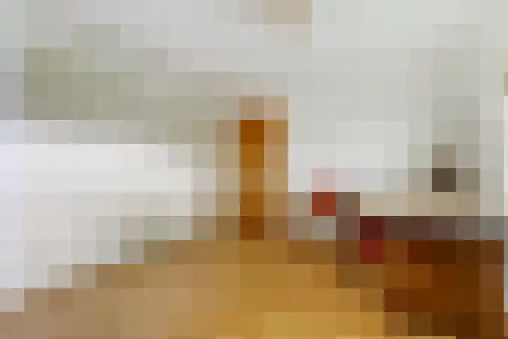 Baerselmansweg 2 B Diepenveen thumbnail 19