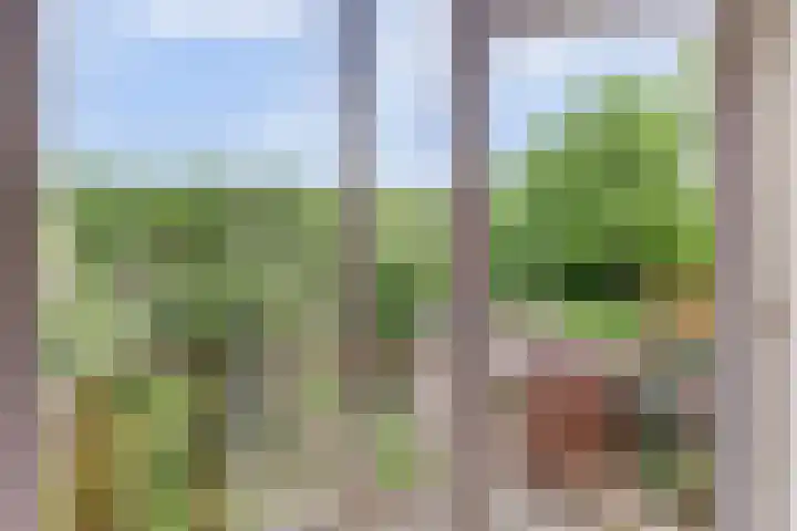 Baerselmansweg 2 B Diepenveen thumbnail 22