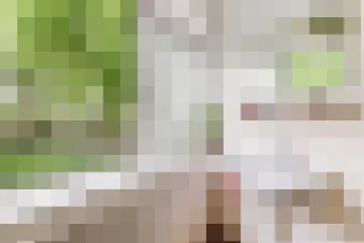 Baerselmansweg 2 B Diepenveen thumbnail 23