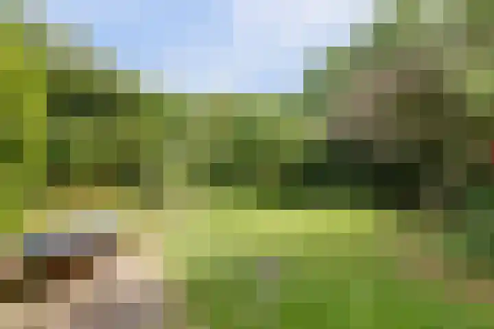 Baerselmansweg 2 B Diepenveen thumbnail 26