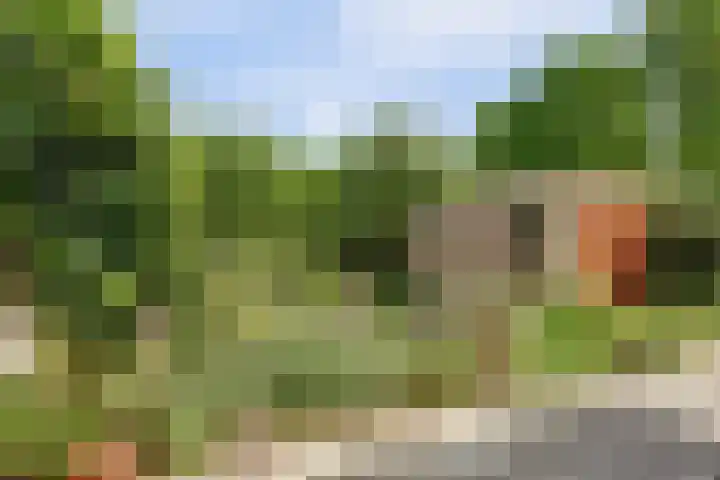 Baerselmansweg 2 B Diepenveen thumbnail 27