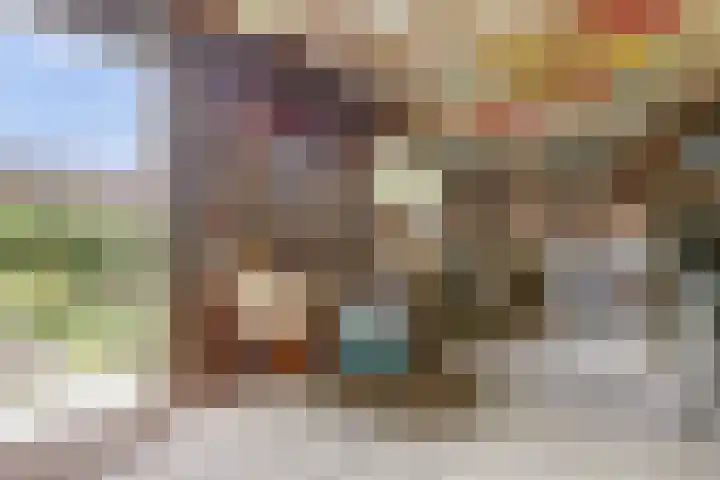 Baerselmansweg 2 B Diepenveen thumbnail 28