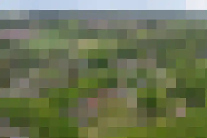 Baerselmansweg 2 B Diepenveen thumbnail 30