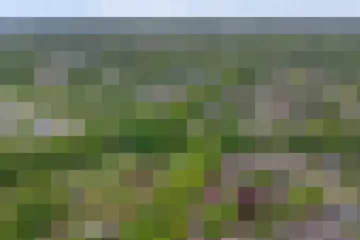 Baerselmansweg 2 B Diepenveen thumbnail 32
