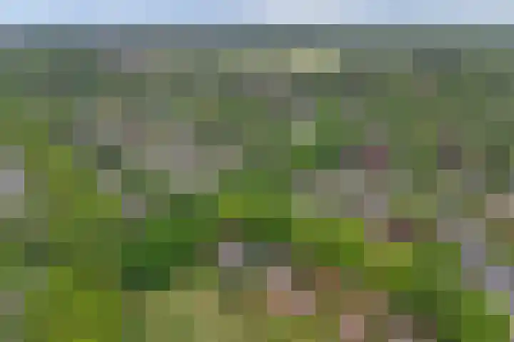 Baerselmansweg 2 B Diepenveen thumbnail 33