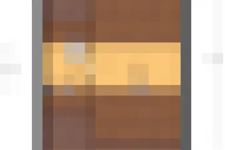 Baerselmansweg 2 B Diepenveen thumbnail 37
