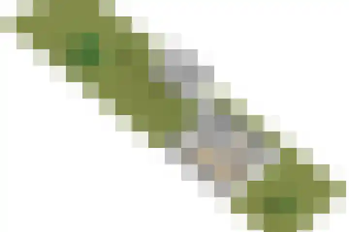 Baerselmansweg 2 B Diepenveen thumbnail 39