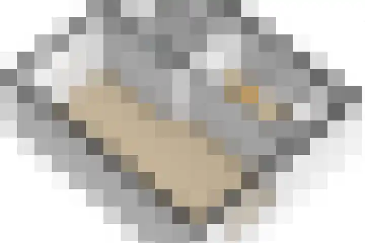 Baerselmansweg 2 B Diepenveen thumbnail 40