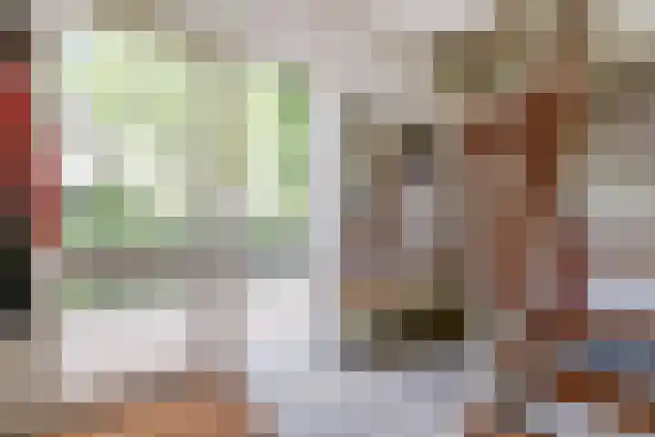 Baerselmansweg 2 B Diepenveen thumbnail 5