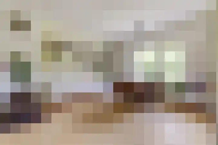 Baerselmansweg 2 B Diepenveen thumbnail 8