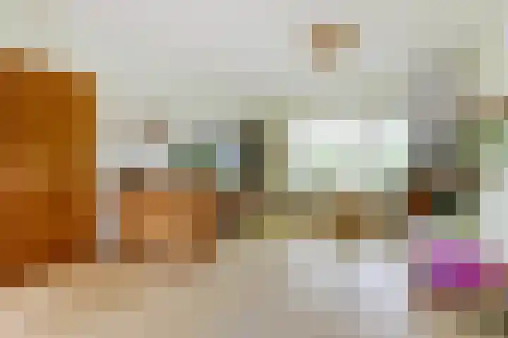 Baerselmansweg 2 B Diepenveen thumbnail 9
