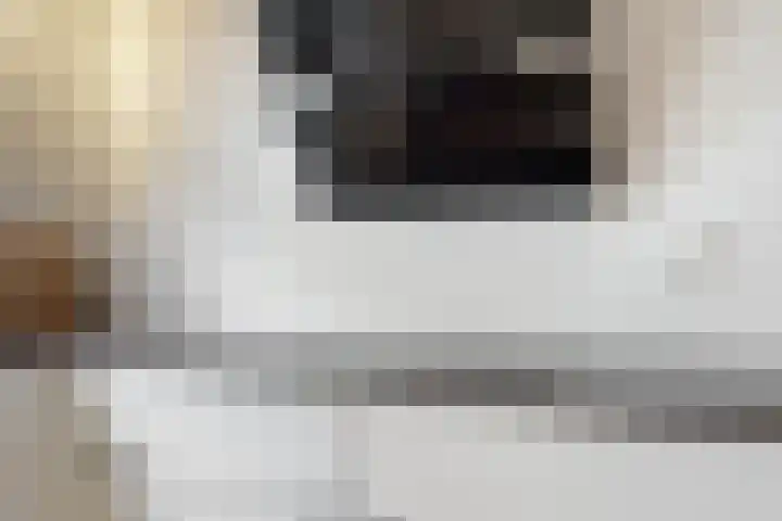 Baesjoulaan 17 Tiel thumbnail 11
