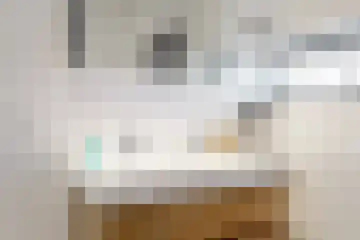 Baesjoulaan 17 Tiel thumbnail 18