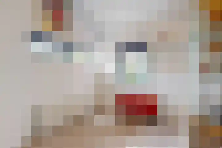 Baesjoulaan 17 Tiel thumbnail 20