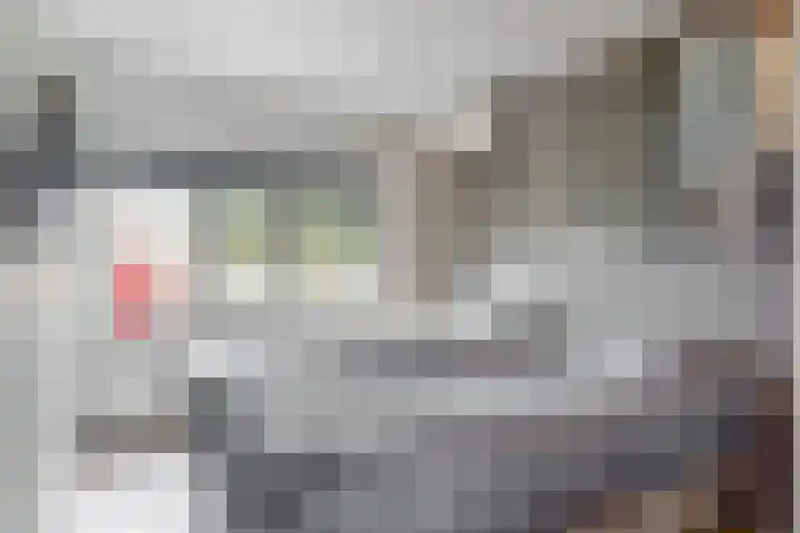 Baesjoulaan 17 Tiel thumbnail 22