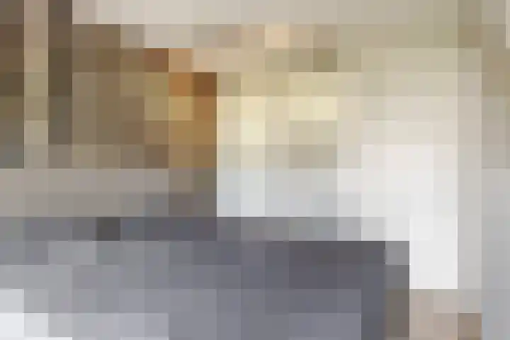 Baesjoulaan 17 Tiel thumbnail 23