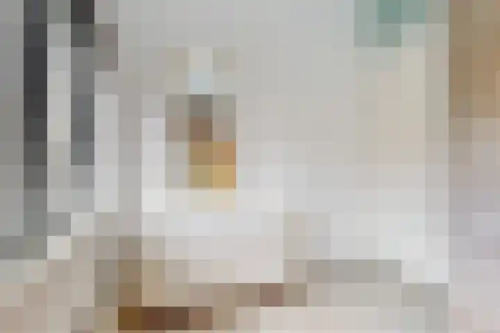 Baesjoulaan 17 Tiel thumbnail 24