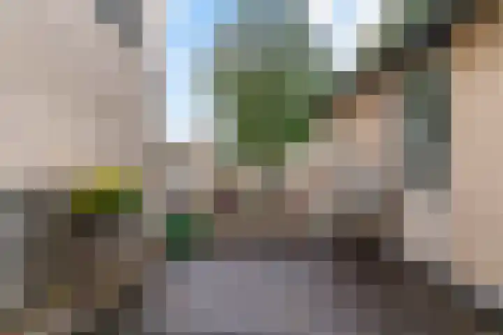 Baesjoulaan 17 Tiel thumbnail 27