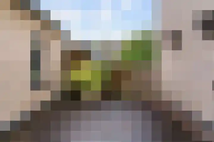 Baesjoulaan 17 Tiel thumbnail 28