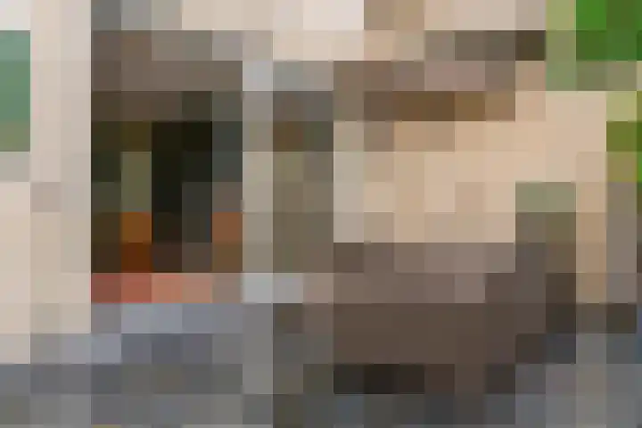 Baesjoulaan 17 Tiel thumbnail 30