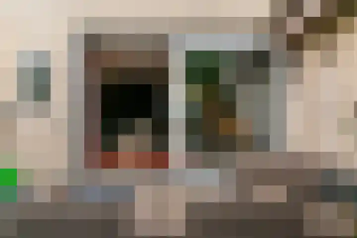 Baesjoulaan 17 Tiel thumbnail 31