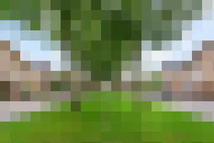 Baesjoulaan 17 Tiel thumbnail 32